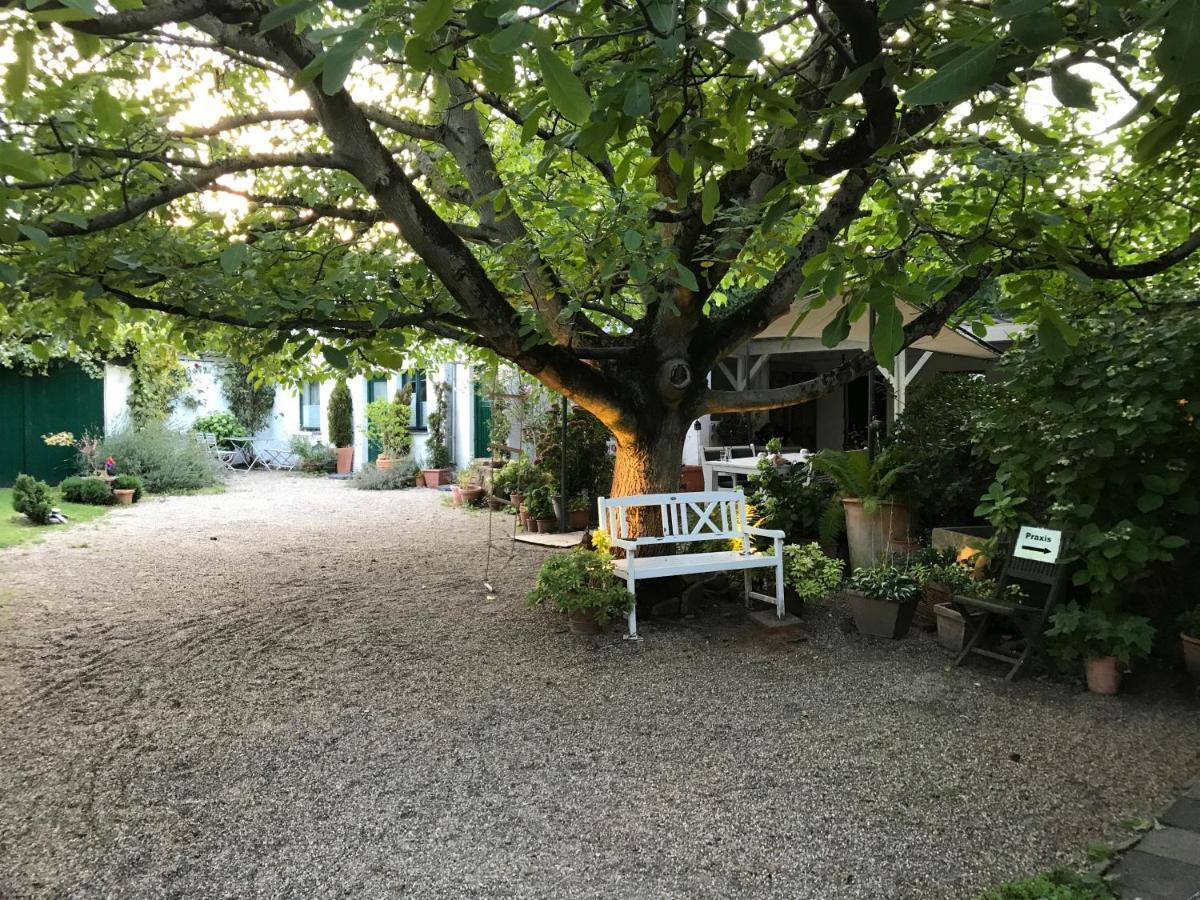 Ferien- Und Messewohnung In Meerbusch Εξωτερικό φωτογραφία